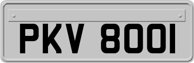 PKV8001