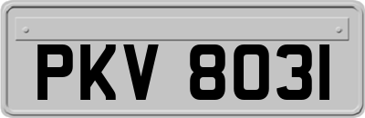 PKV8031