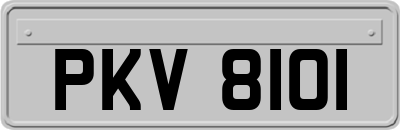 PKV8101