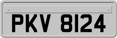 PKV8124