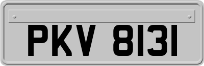 PKV8131