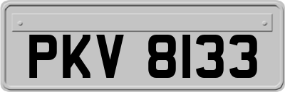PKV8133