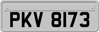 PKV8173