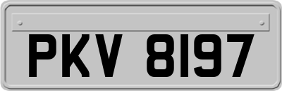 PKV8197