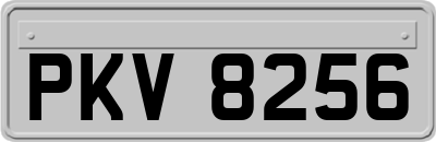 PKV8256