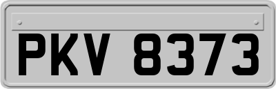 PKV8373