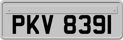PKV8391