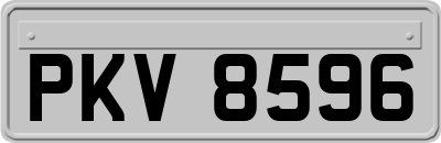 PKV8596