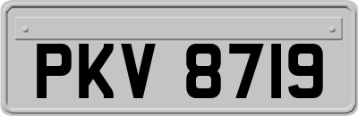 PKV8719