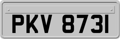PKV8731