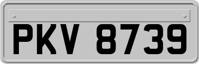 PKV8739