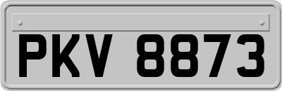 PKV8873