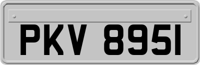 PKV8951
