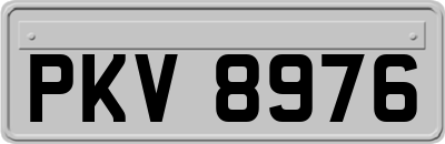 PKV8976