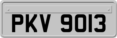 PKV9013
