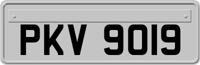 PKV9019