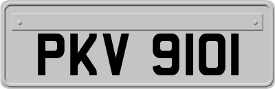 PKV9101