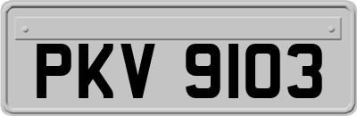 PKV9103