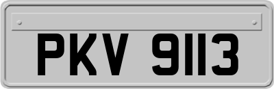 PKV9113