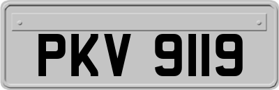 PKV9119
