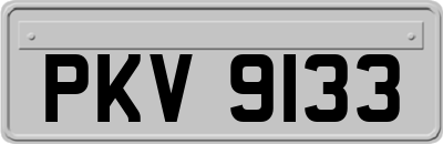 PKV9133