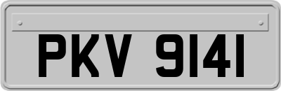 PKV9141