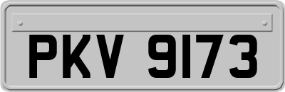 PKV9173