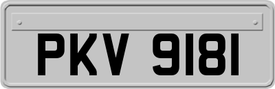 PKV9181