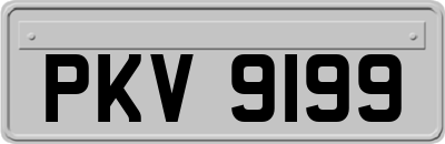PKV9199