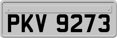 PKV9273