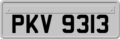 PKV9313
