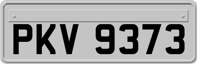 PKV9373