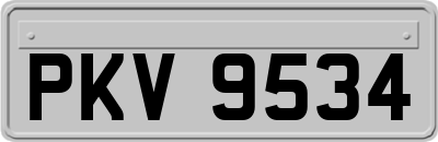 PKV9534