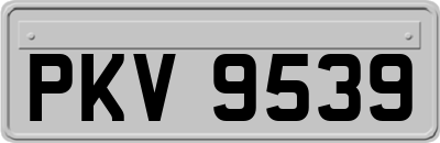 PKV9539