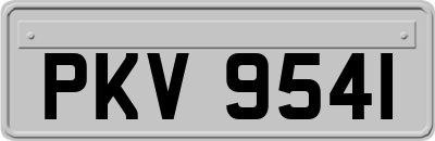 PKV9541