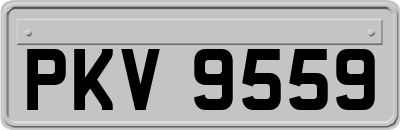 PKV9559