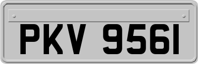 PKV9561