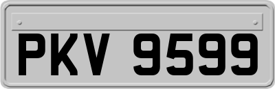 PKV9599