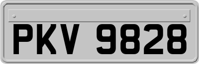 PKV9828
