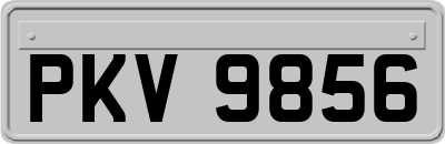 PKV9856