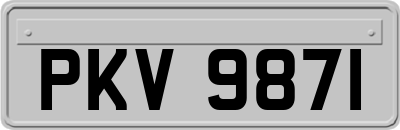 PKV9871