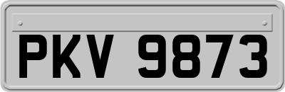 PKV9873