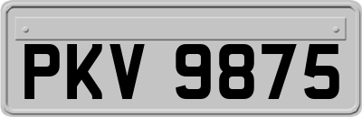 PKV9875