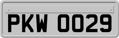PKW0029