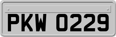 PKW0229