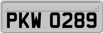 PKW0289