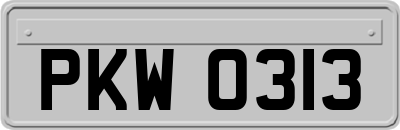 PKW0313