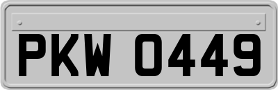 PKW0449