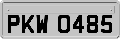 PKW0485