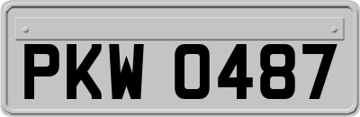 PKW0487